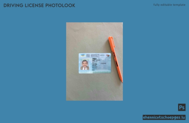 Ukrainischer Führerschein im PSD-Format, vollständig bearbeitbar, Fotoansicht 2016–2021 (Beispielvorschau)